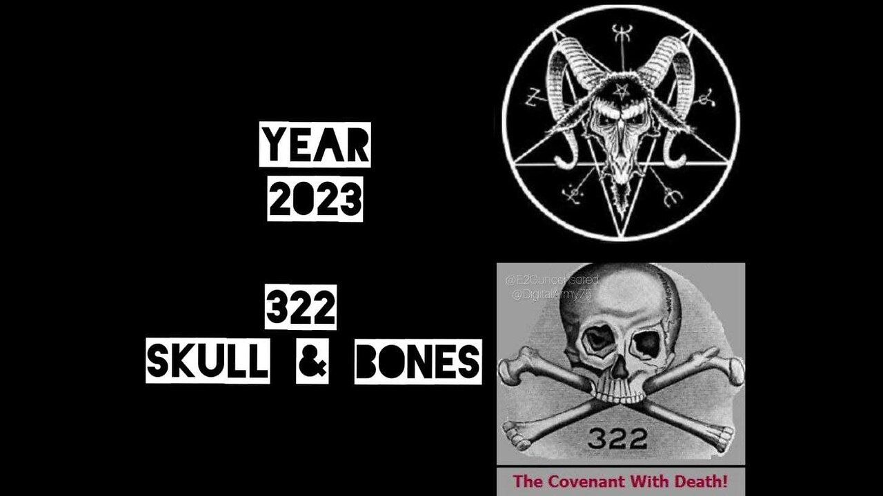 Skull & Bones The Bushes Way