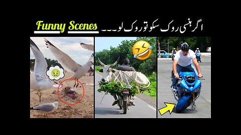 MOST FUNNY VIDEOS ON INTERNET 😜 - part;-129 || most funny moments caught on camera 😅