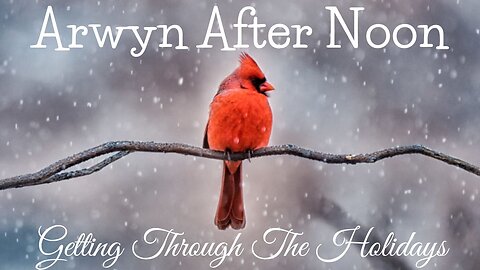 ARWYN AFTER NOON: Getting Through The Holidays!