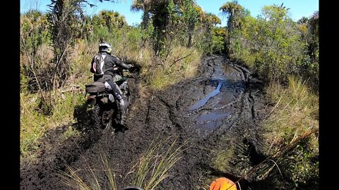 Wild Bear Safari 2022 Day 1 on the KTM 350