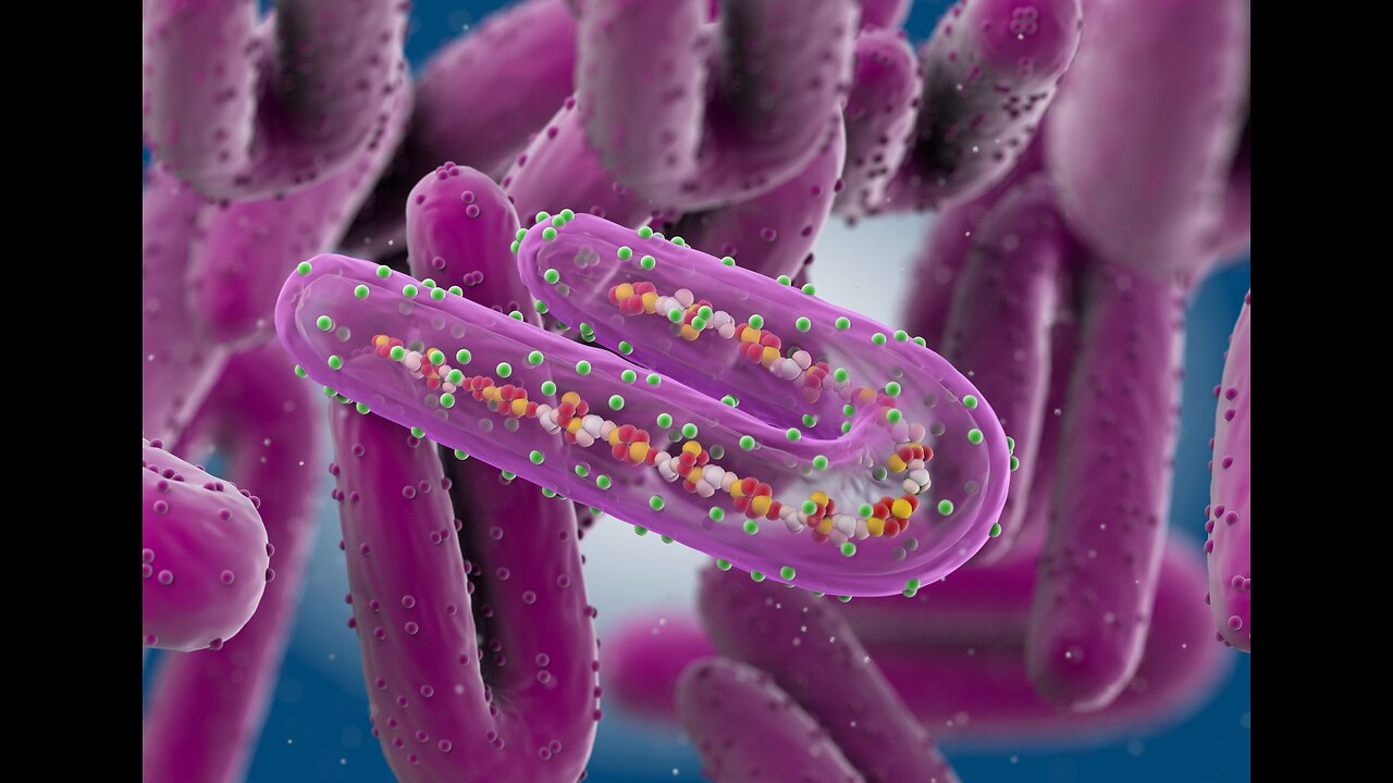 MARBURG VIRUS IN THE VAX