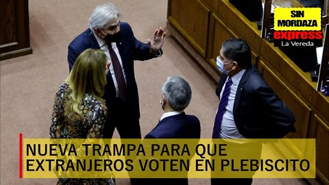 Senado quiere incorporar el voto extranjero en el Plebiscito de Salida