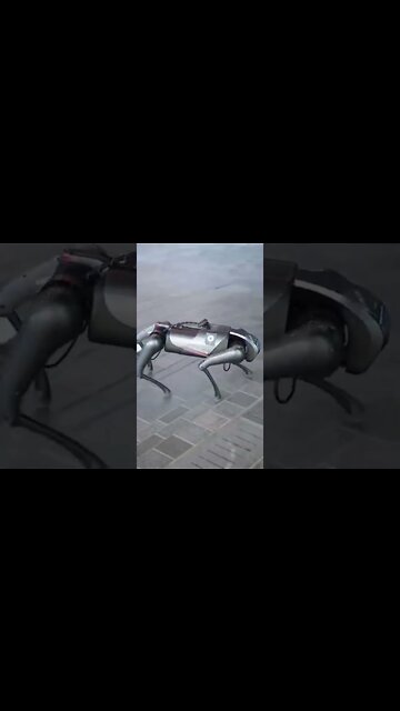 Cyberdog ya es una realidad ¿Reemplazarías a tu mascota?