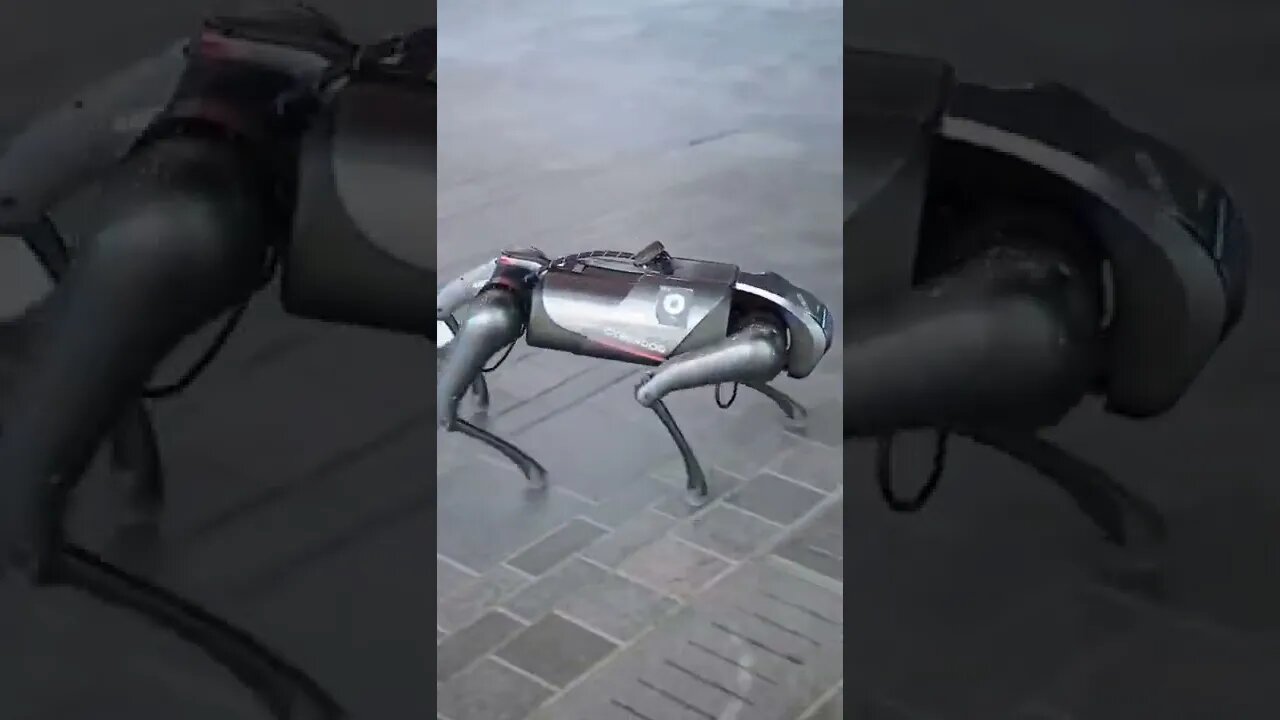 Cyberdog ya es una realidad ¿Reemplazarías a tu mascota?