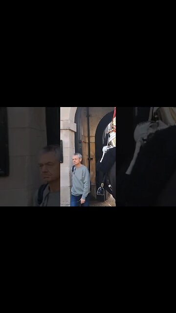 Walking through the Horse box #horseguardsparade