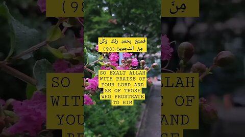 Surah Al Hijr | ayyat #95_99 #viralshorts2023 #youtubeshorts