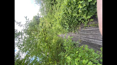 Abandoned Belle Isle Zoo Walkway🔥🔥😱