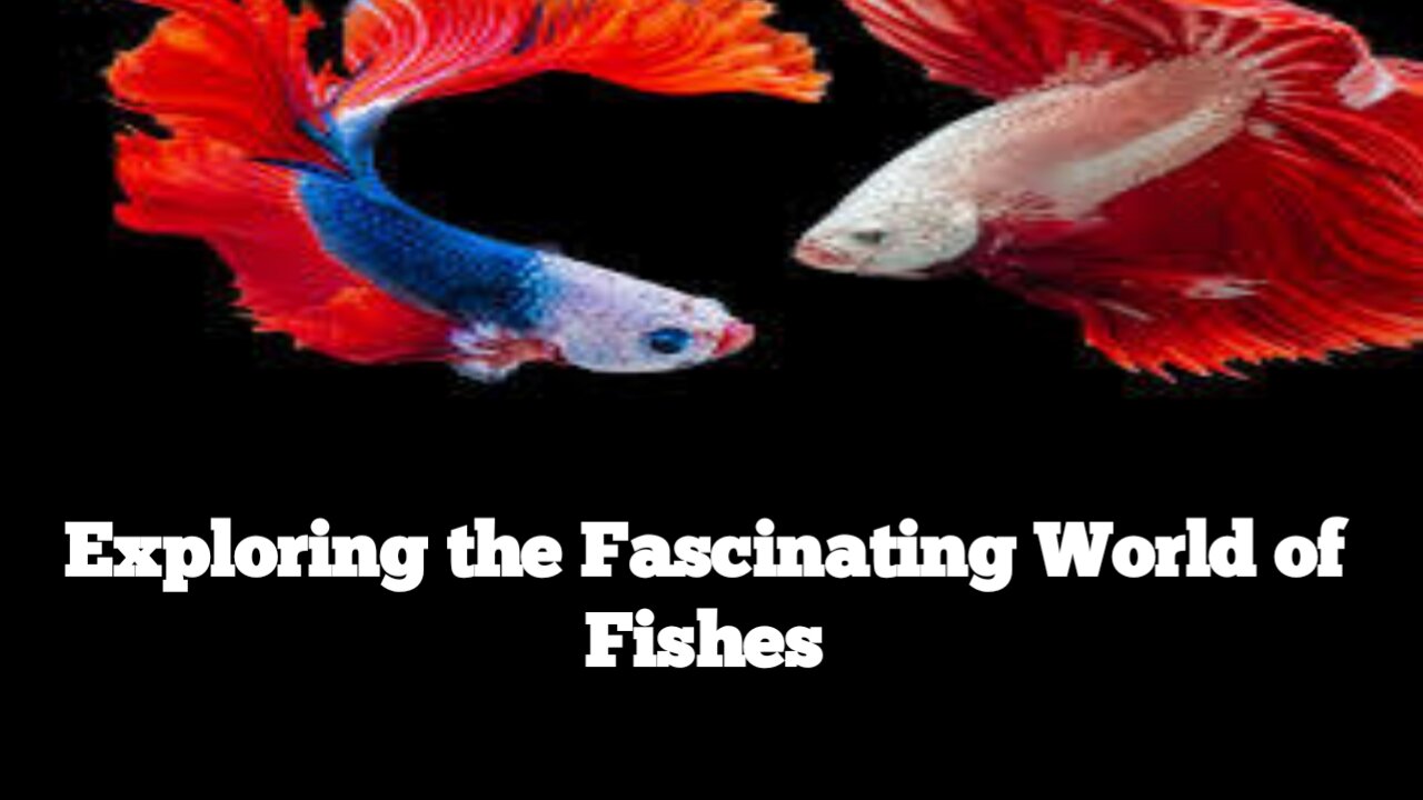 Exploring the Fascinating World of Fishes | Diversity, Habitats, and Adaptations!