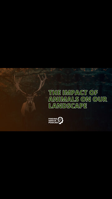 The Impact of Animals on Our Landscape #shorts