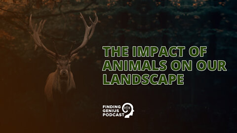 The Impact of Animals on Our Landscape #shorts