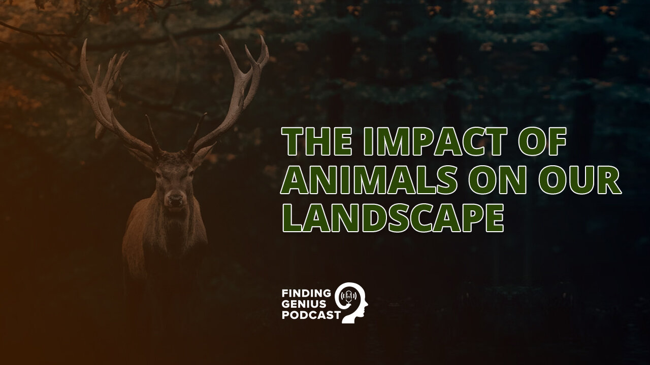 The Impact of Animals on Our Landscape #shorts