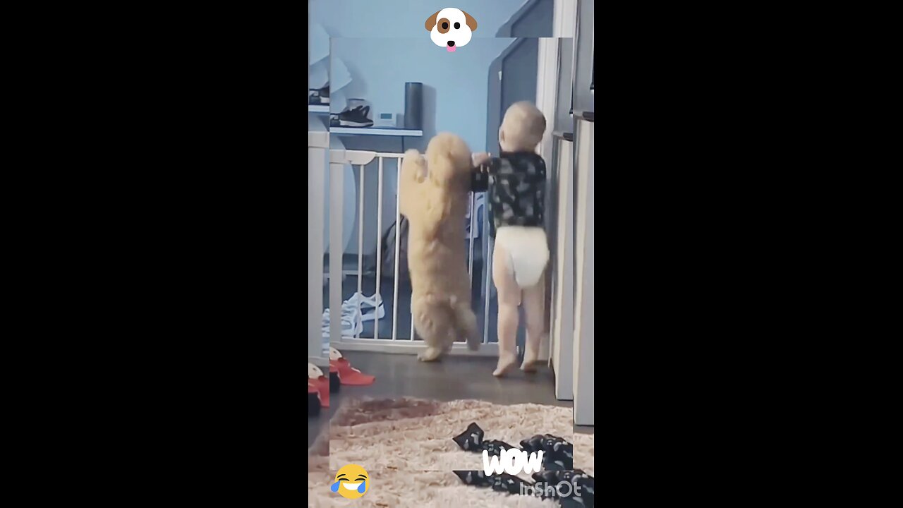 cute baby and dog dancing👯