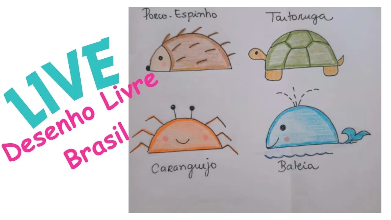 COMO DESENHAR PORCO ESPINHO, TARTARUGA, CARANGUEJO E BALEIA #live