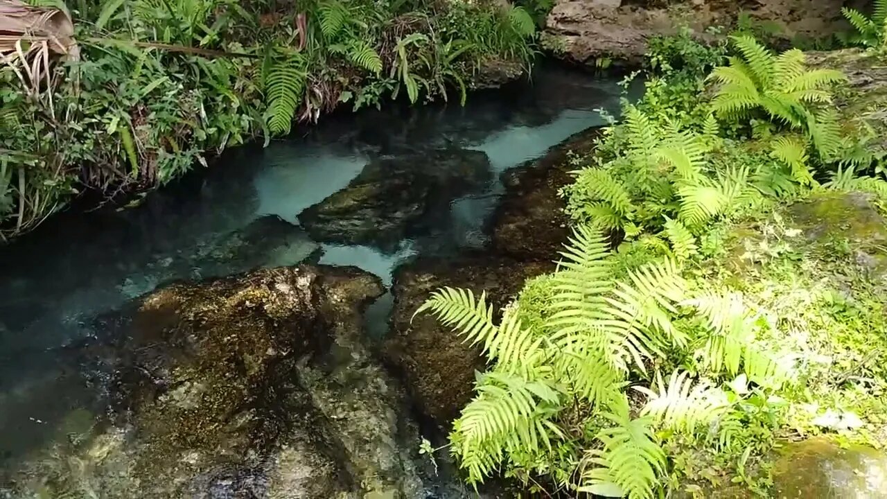 Rock Springs, Kelly Park, Florida