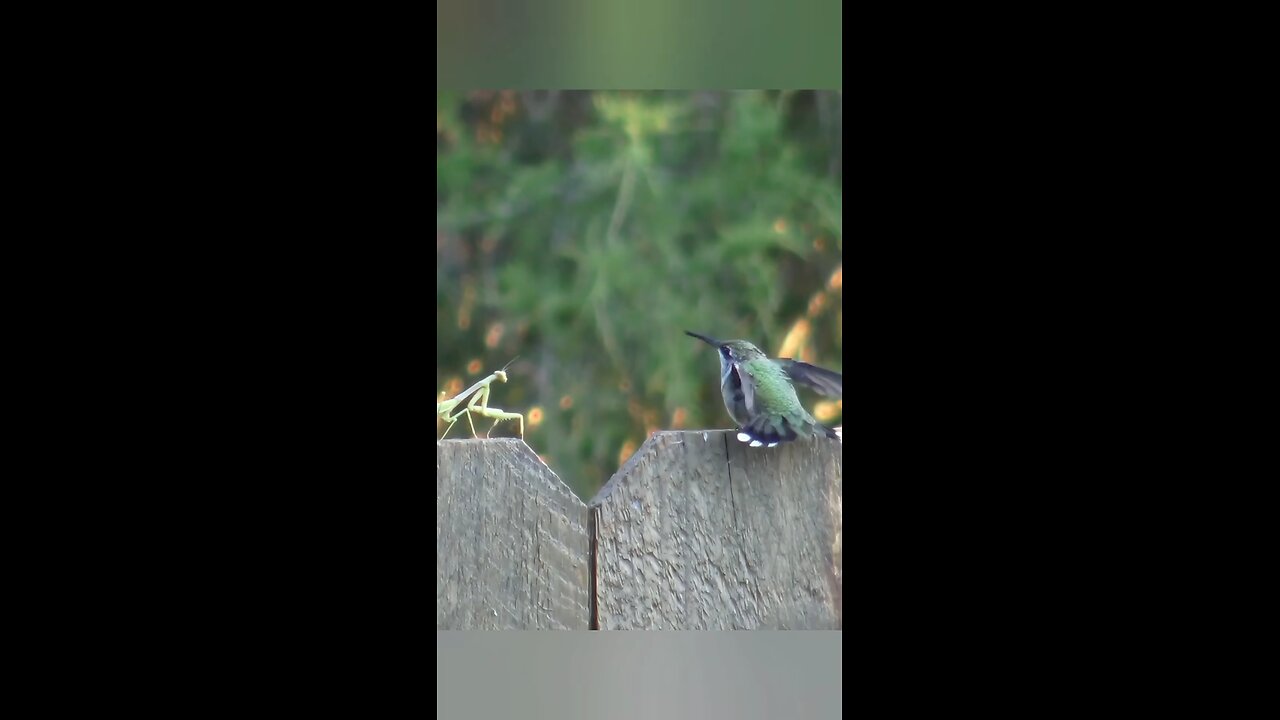 😱😳