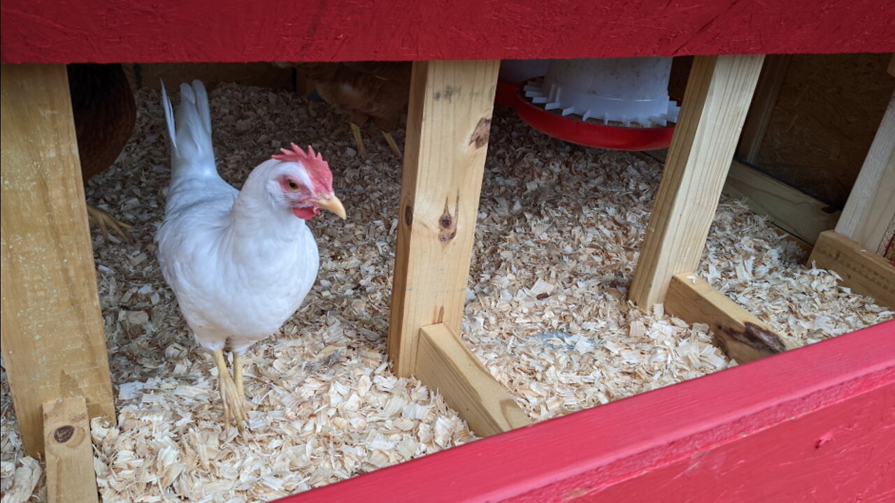 Cannon Farm - Nesting Boxes