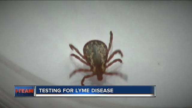 Early Lyme disease test comes with CDC warning