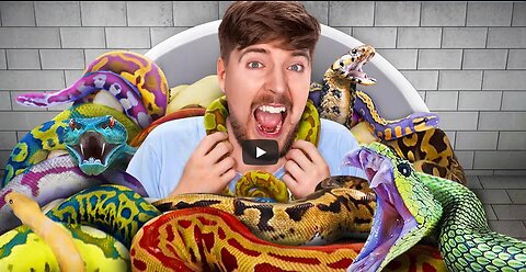 Would You Sit In Snakes For $10,000-