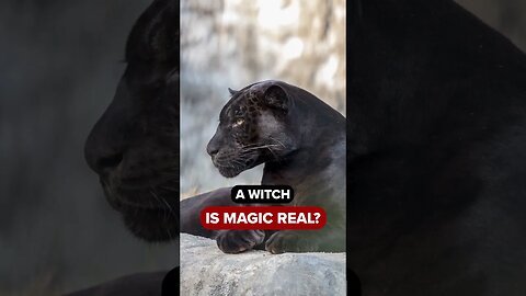 Is Witchcraft and Voodoo Actually Real?