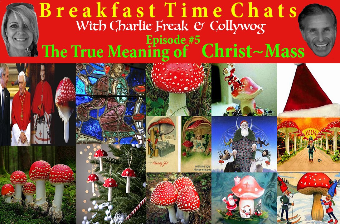 Breakfast Time Chat #5~The True Meaning of Christ-Mass