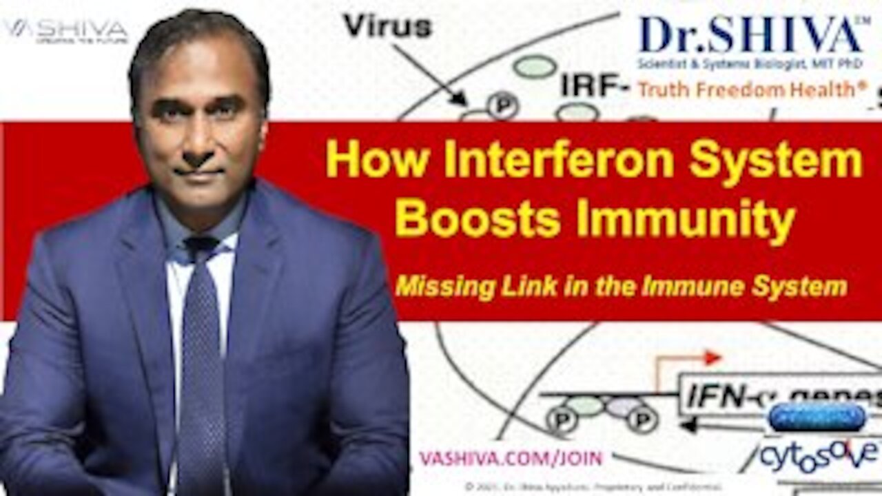 How the Interferon System Boosts Immunity
