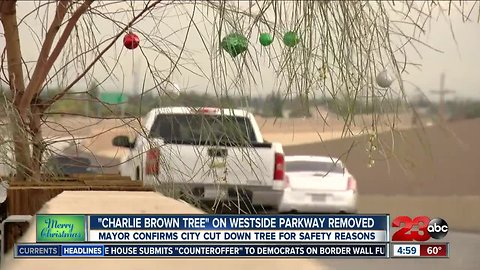 City removes "Charlie Brown Christmas tree" from Westside Parkway for safety reasons