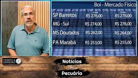 Boi gordo: mais uma semana de pressão