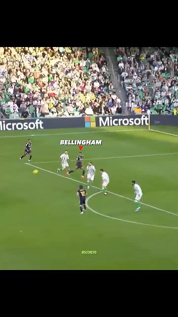 Rare Bellingham Moments 2 (short video)