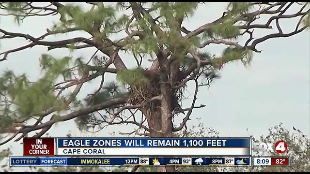 Eagle protection zones remain unchanged in Cape Coral