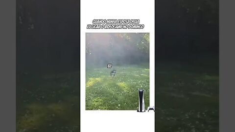 Quando minha esposa deixa eu jogar videogame no domingo