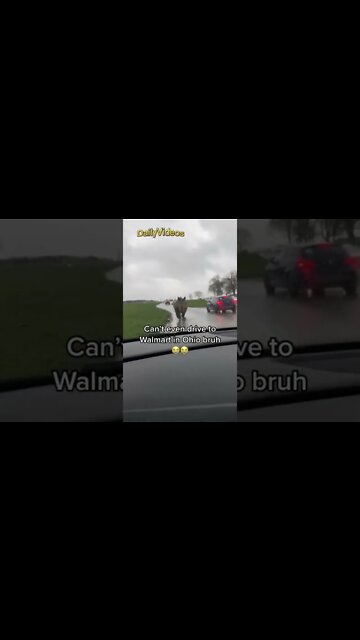 Normal Day In Ohio 🤣 #hippopotamus #shorts