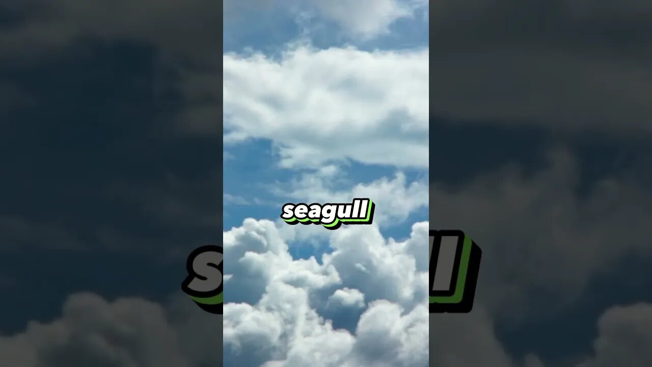 Pigeons Vs Seagull? #whatif #funny #trendingshorts