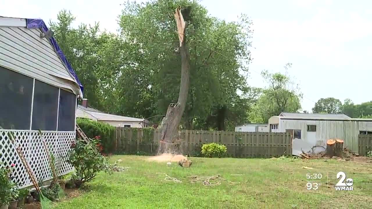 19 people injured after a tree falls on a garage in Pasadena