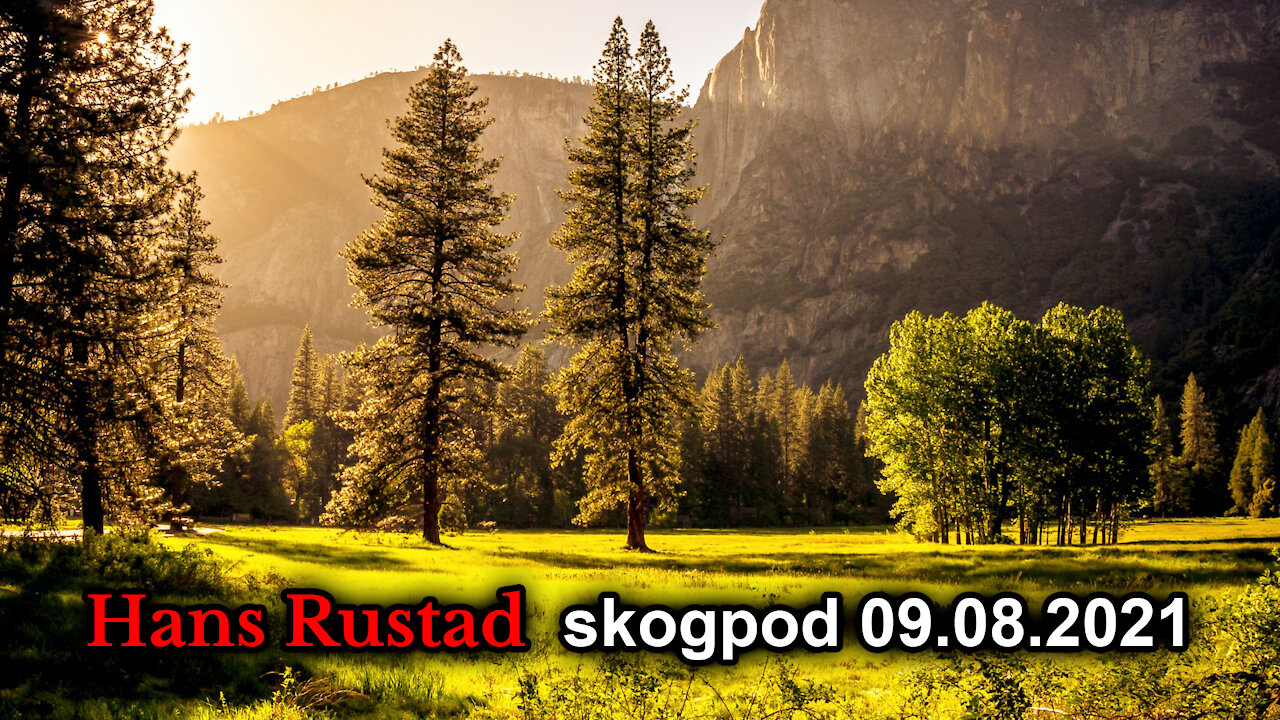 Skogpod 9. august: Det er forskjell på avkristning og avguderi