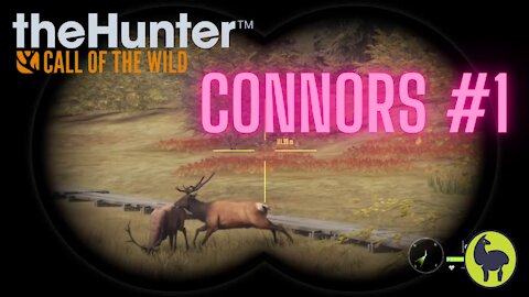 The Hunter: Call of the Wild, Connors #1