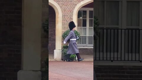 Changing of the guard st James's Palace #buckinghampalace