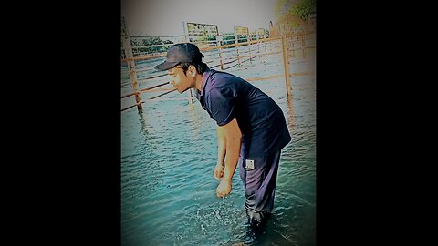 dkfkg