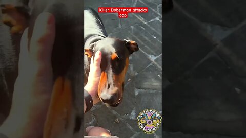 doberman with no leash relentlessly attacks cop! #shorts #satire #pupper #police #fyp #viral