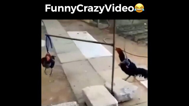 Mr FunnyCrazyVideo😂 Just Incredible Video Funny and Crazy #Like Follow for Follow 🥰