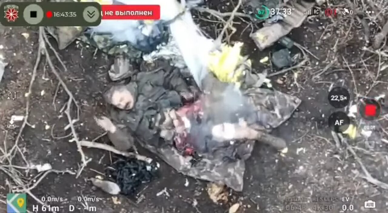 Funny Footage: Ukrainian Forces Eliminate Stalin's Lookalike