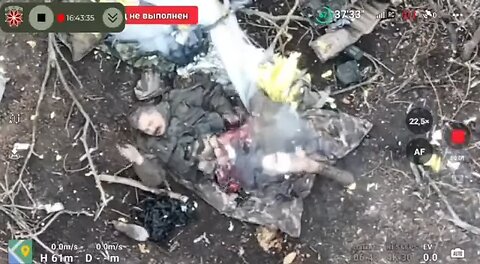 Funny Footage: Ukrainian Forces Eliminate Stalin's Lookalike