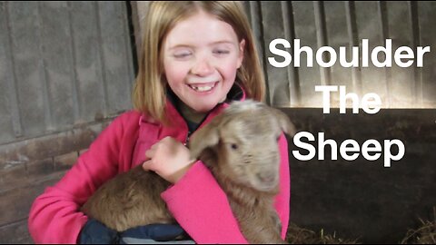 Shoulder The Sheep