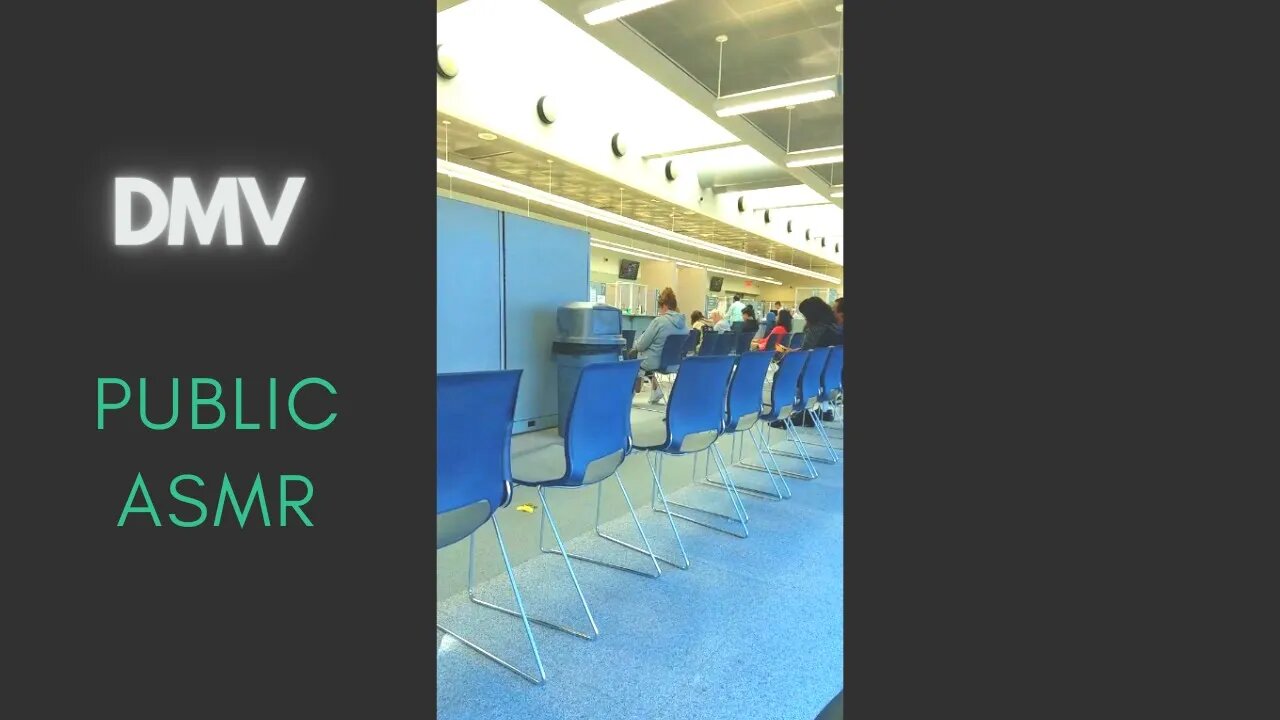 public ASMR | At The DMV