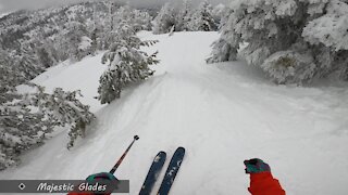 Bogus Basin ~ Tree Time