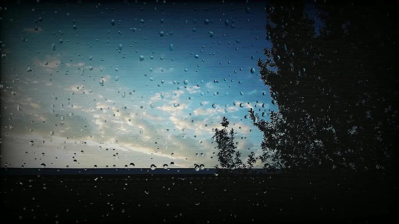 Cloud Rain Nature Thunder Plant Wind Dark