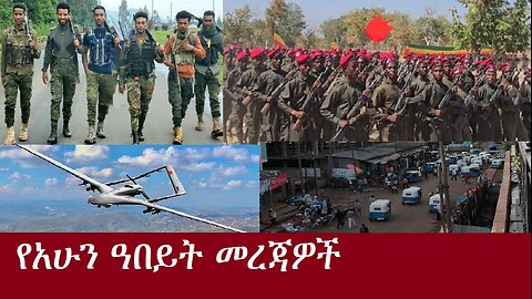 አገዛዙ በራሱ ወታደሮች ላይ የፈጸመውን ጭካኔ ተመልከቱ(የአሁን አበይት መረጃዎች) Dec 17,2024