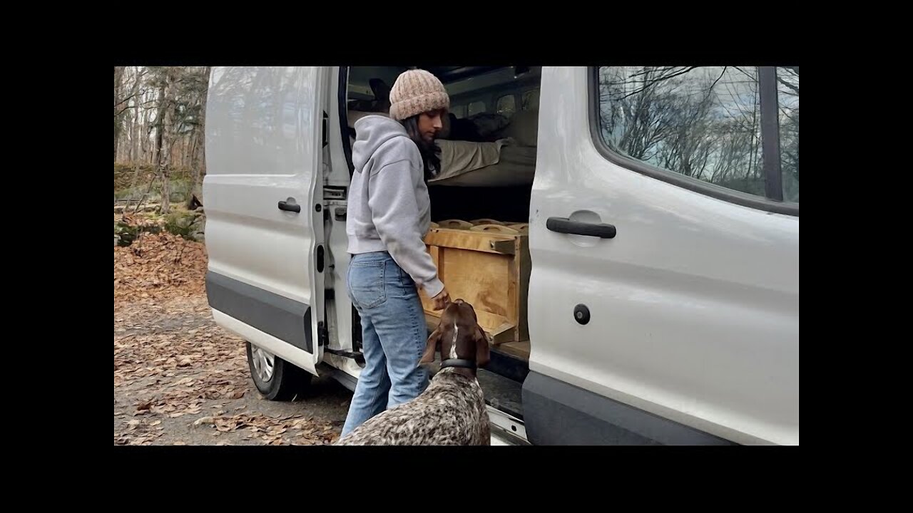 Bare Minimum Van Life ft. Puppies, A Tiny Cabin, Cold Weather & A Car Crash...