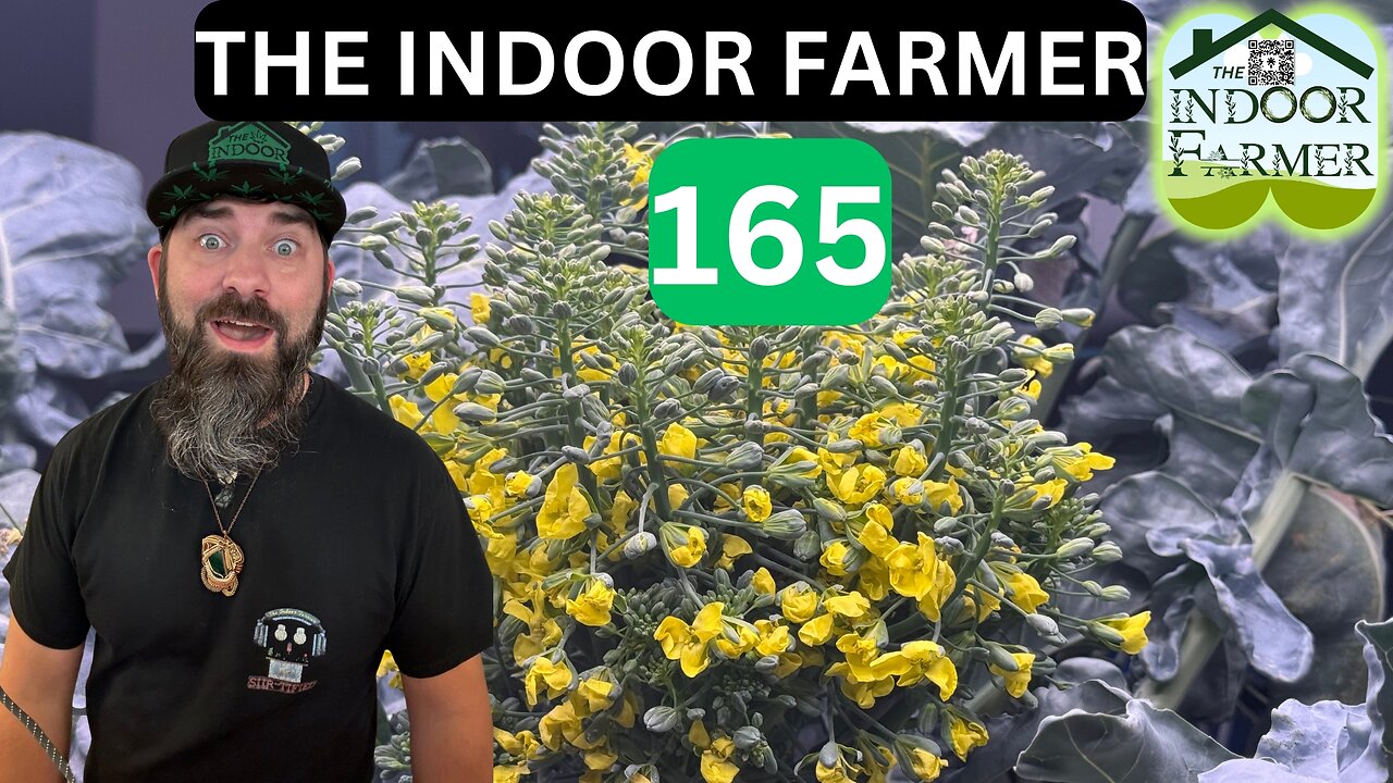 The Indoor Farmer ep 165, It's A Jungle In Here... Let's Grow!