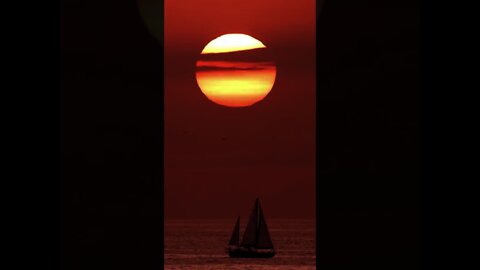 Horizon in the sea while a sailboat sails #Shorts