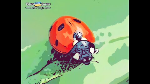 The Ultimate Donald Trump Ladybug Meme! 🐞